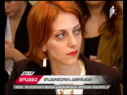 ვინ იბრძვის საქართველოდან სტრასბურგის სასამართლოს მოსამართლეობისთვის